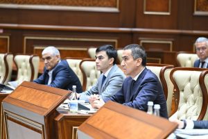 Senat yangi tahrirdagi “Elektr energetikasi to‘g‘risida”gi qonunni maʼqulladi