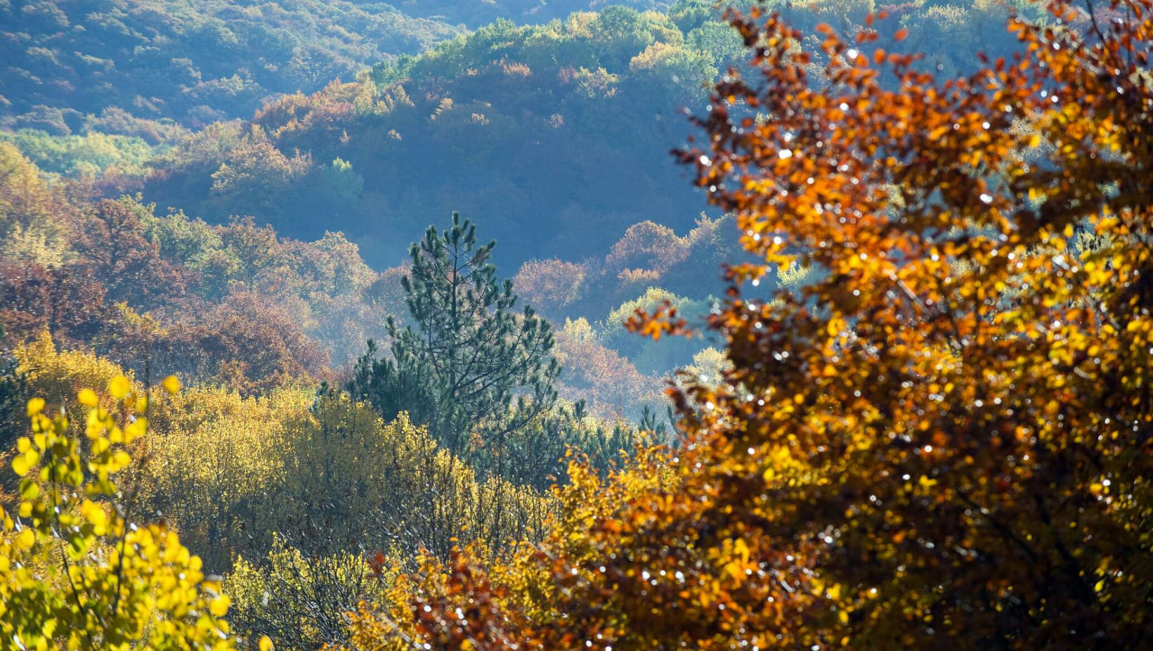 O‘zbekistonda dam olish kunlari havo biroz salqinlashadi