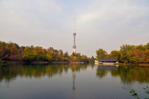 Bugun havo harorati 13 daraja iliq bo‘ladi