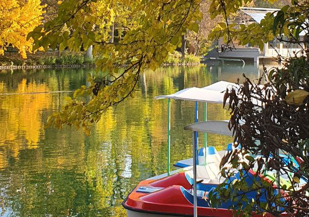 O‘zbekistonda dam olish kunlari havo nisbatan iliq bo‘ladi