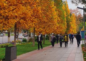 O‘zbekistonda dam olish kunlari qanday ob-havo bo‘lishi maʼlum qilindi