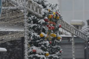 24-dekabr kunlari kuzatiladigan ob-havo prognozi e’lon qildi