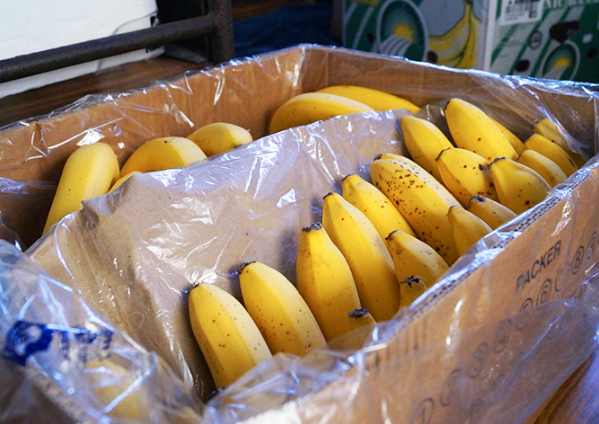 Сколько кг в ящике бананов. Упаковка бананов. Бананы в коробке. Ящик бананов. Бананы в ящике.