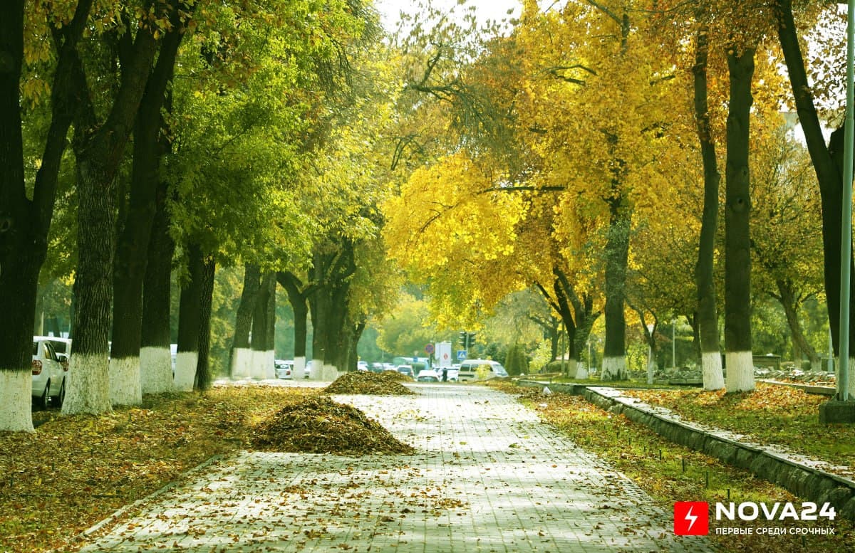 Покрытый золотом Ташкент — фоторепортаж