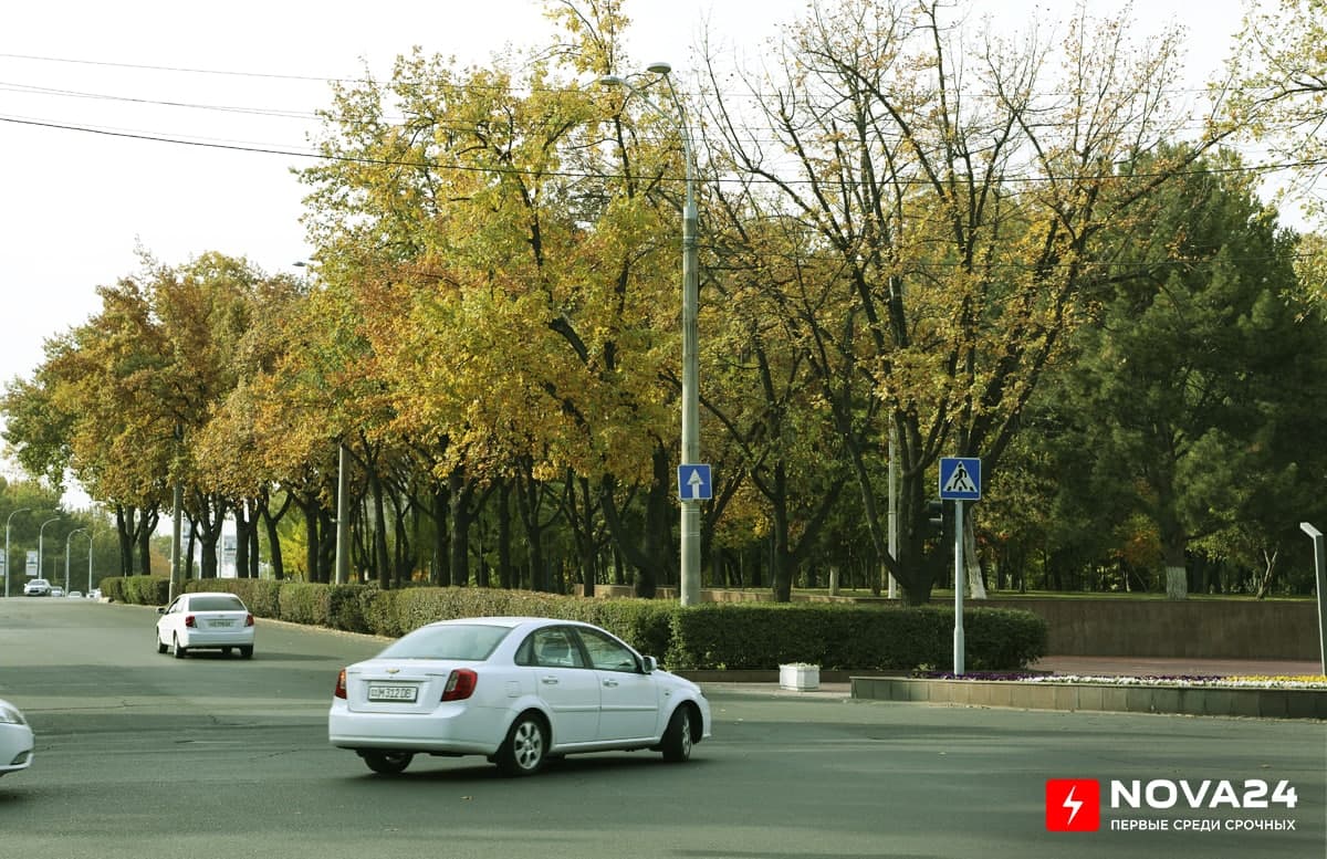Покрытый золотом Ташкент — фоторепортаж