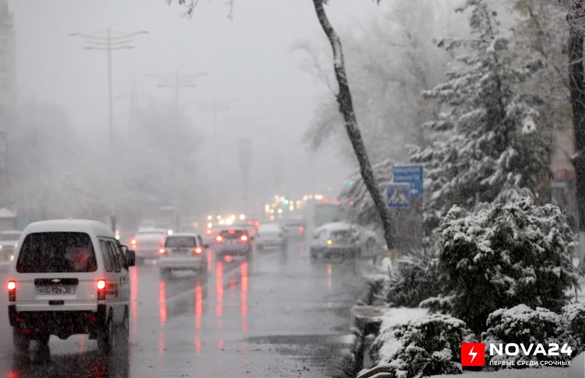 В Ташкенте выпал первый снег — фоторепортаж