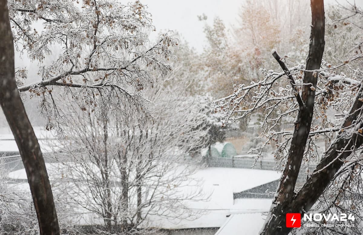 В Ташкенте выпал первый снег — фоторепортаж