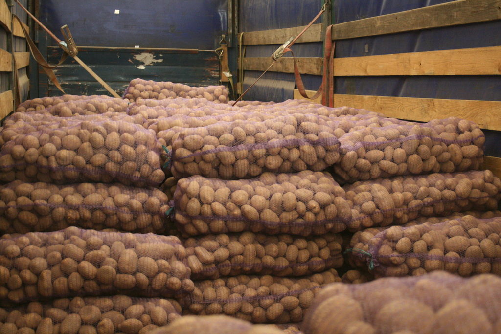 Узбекистан усилит контроль за ввозимым из Пакистана и Ирана картофелем