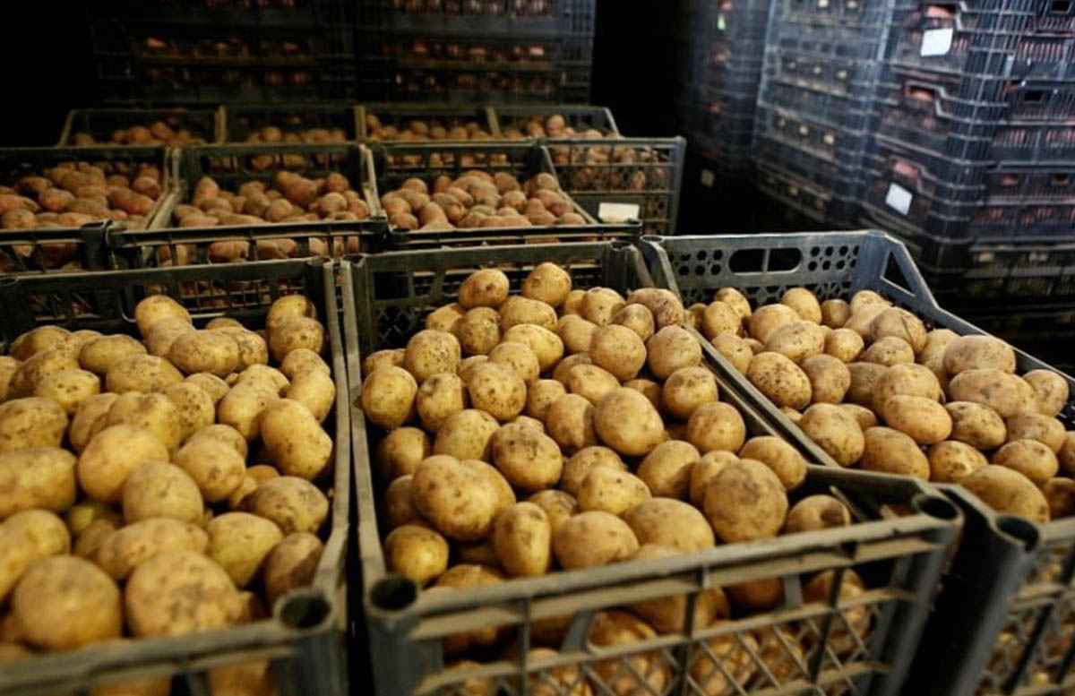 Узбекистан в 2021 году резко увеличил импорт овощей и фруктов из Ирана