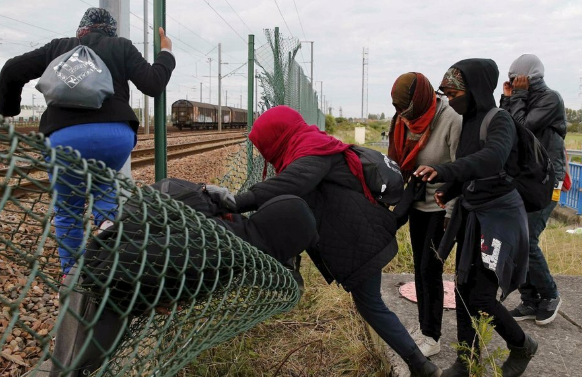 Несколько десятков мигрантов смогли прорваться из Беларуси в Польшу