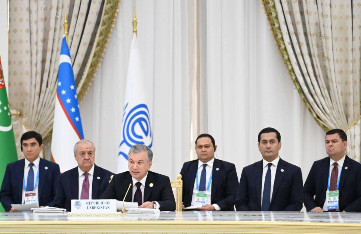 Шавкат Миризёев выступил на саммите Организации экономического сотрудничества