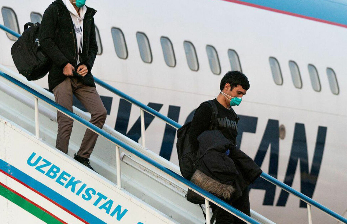 Uzbekistan Airways заинтересовалась мнением пассажиров