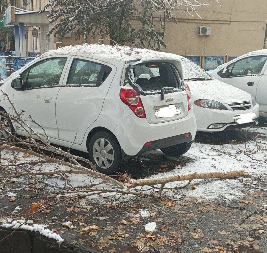 В Ташкенте еще несколько авто пострадали из-за сильного ветра во время снегопада