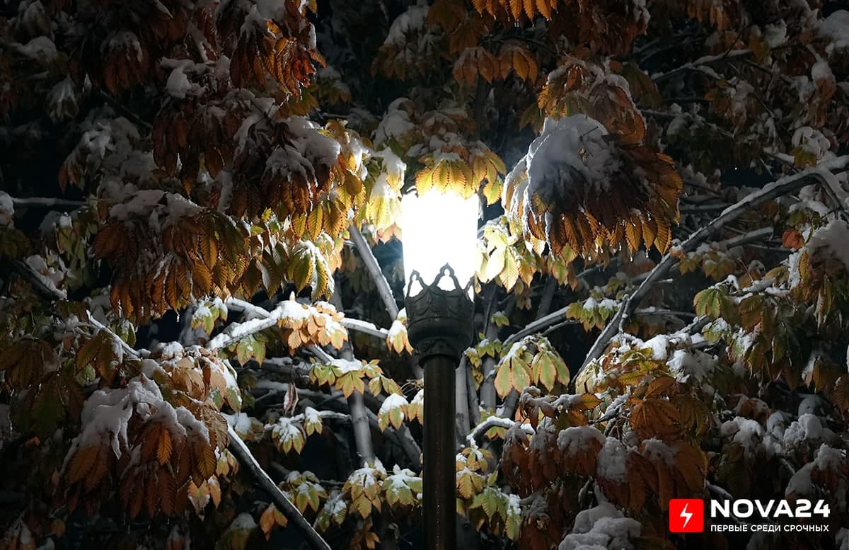 Зимняя сказка в огнях ночного Ташкента — фоторепортаж