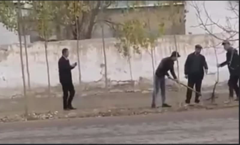 Многоразовые саженцы: В Узбекистане группа «садоводов» устроила посадочный тур для деревца