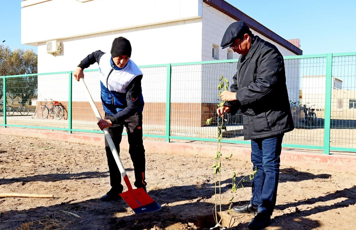 В Каракалпакстане посадили тысячу саженцев декоративных деревьев