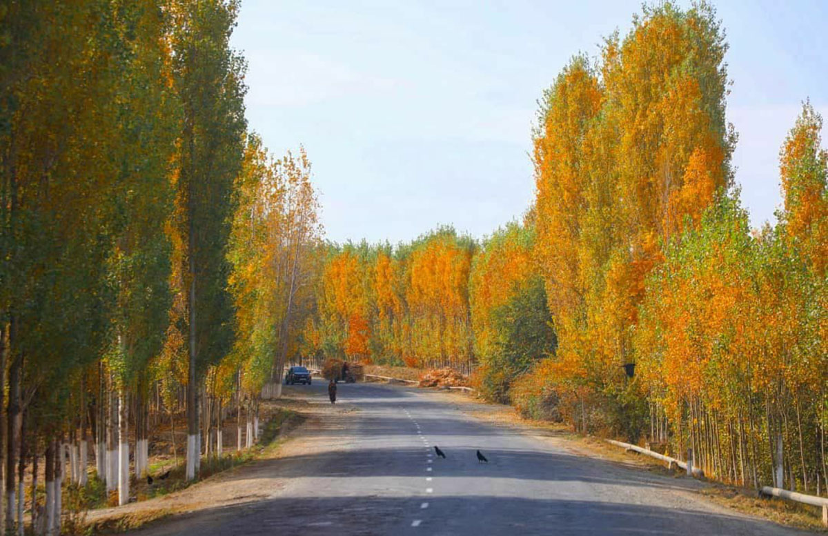 Узбекистан примет новые обязательства по снижению выбросов парниковых газов