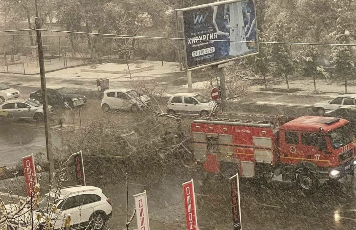 В Ташкенте еще несколько авто пострадали из-за сильного ветра во время снегопада