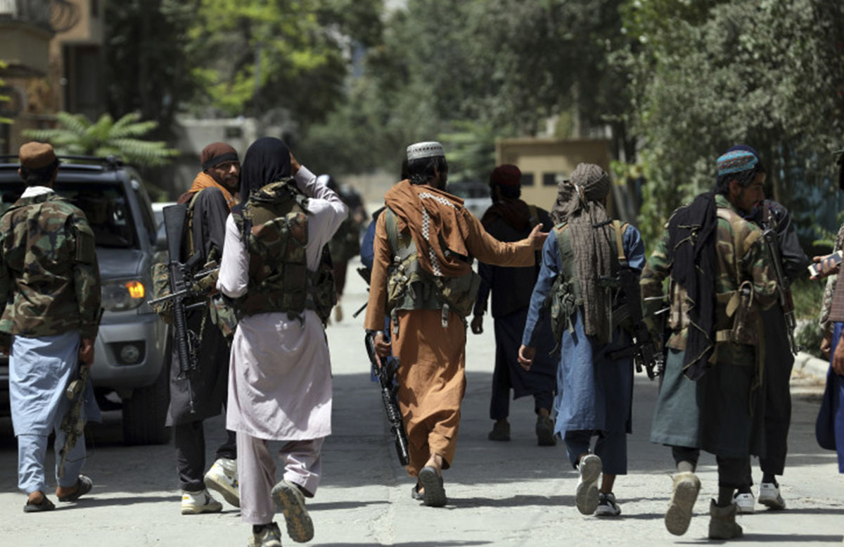 Талибы создали подразделение для защиты лесов от вырубки
