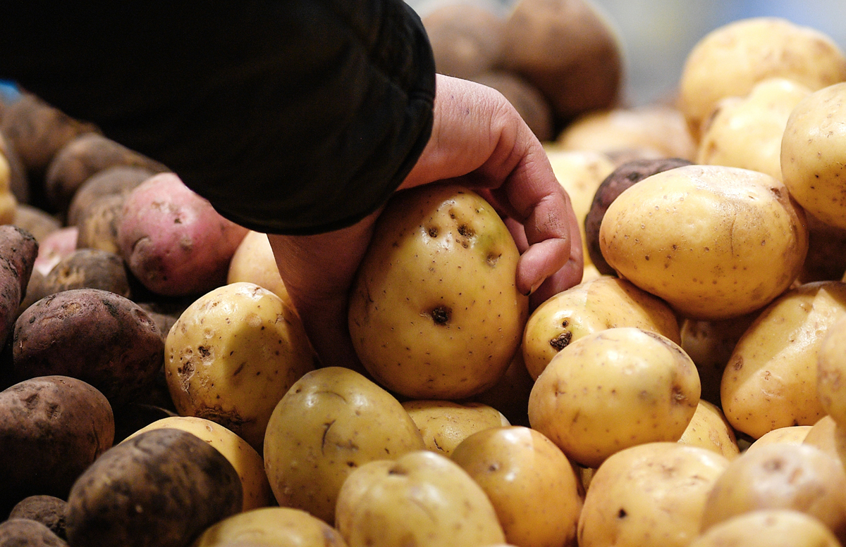 В Узбекистане подешевел картофель