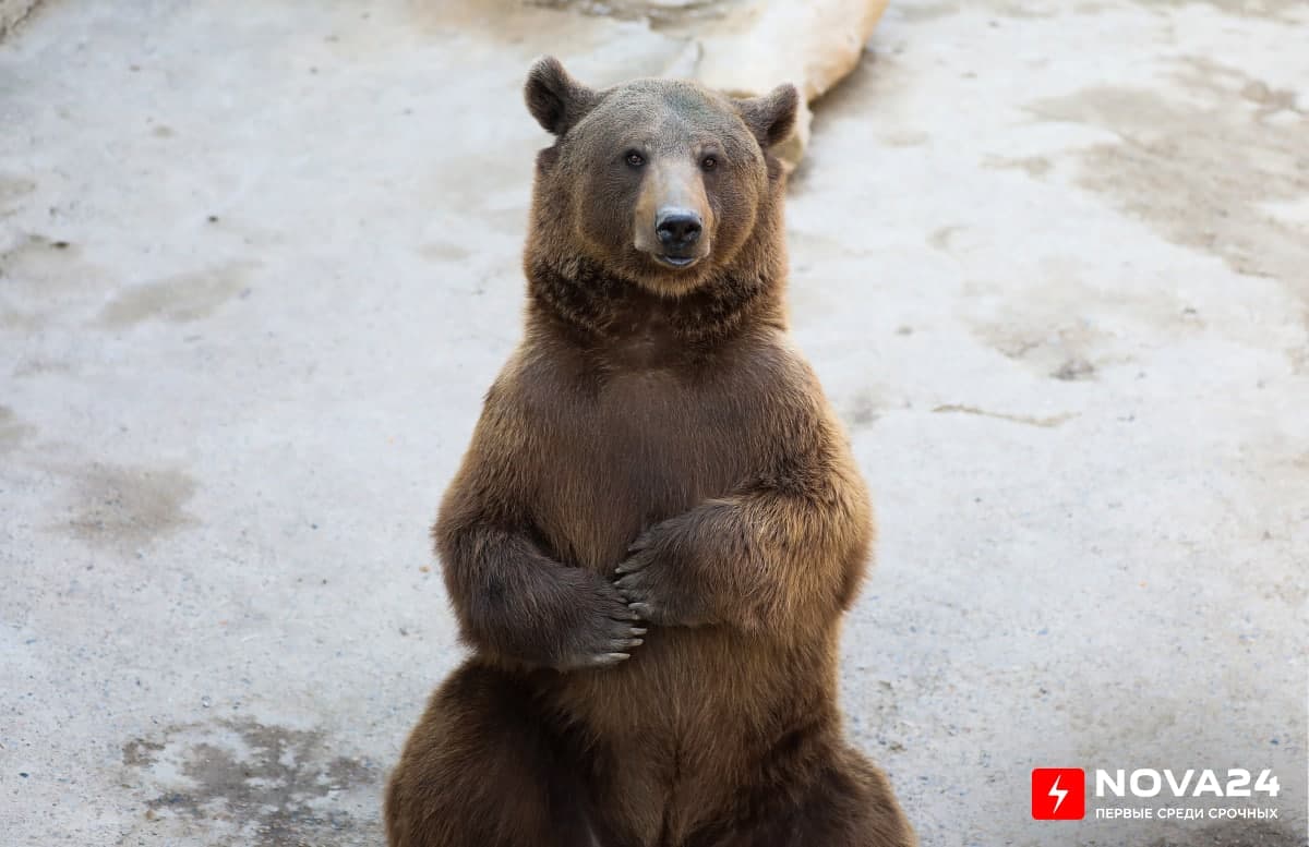Жизнь Ташкентского зоопарка — фоторепортаж
