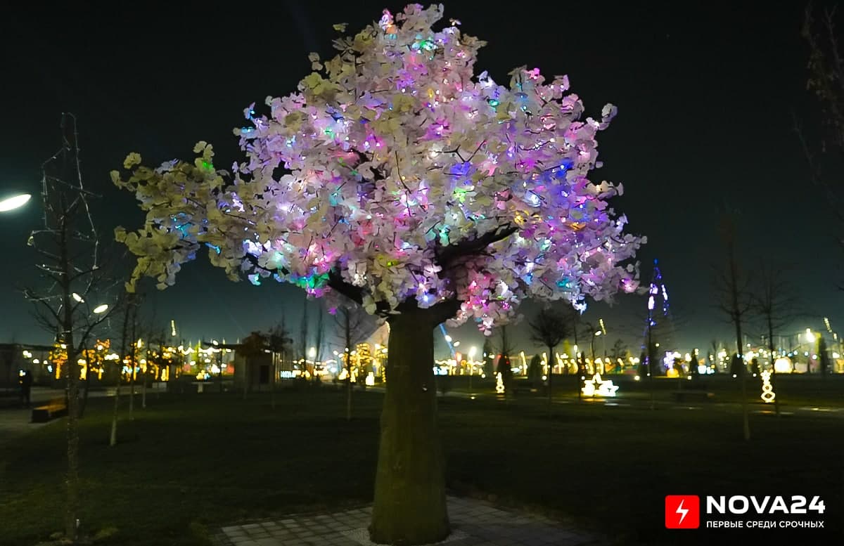 Как украсили парк «Новый Узбекистан» к новогодним праздникам — фоторепортаж