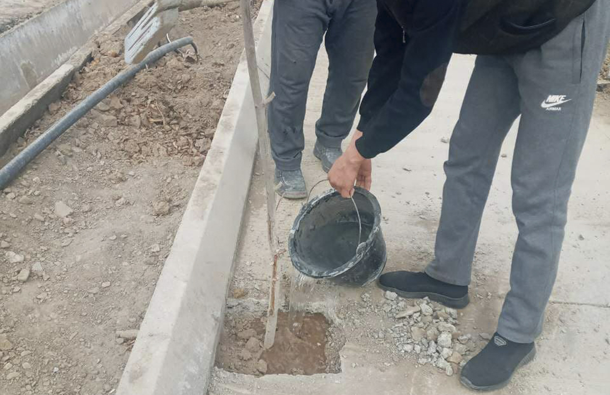 Причастные к бетонированию деревьев в Джизаке граждане получили «по заслугам»