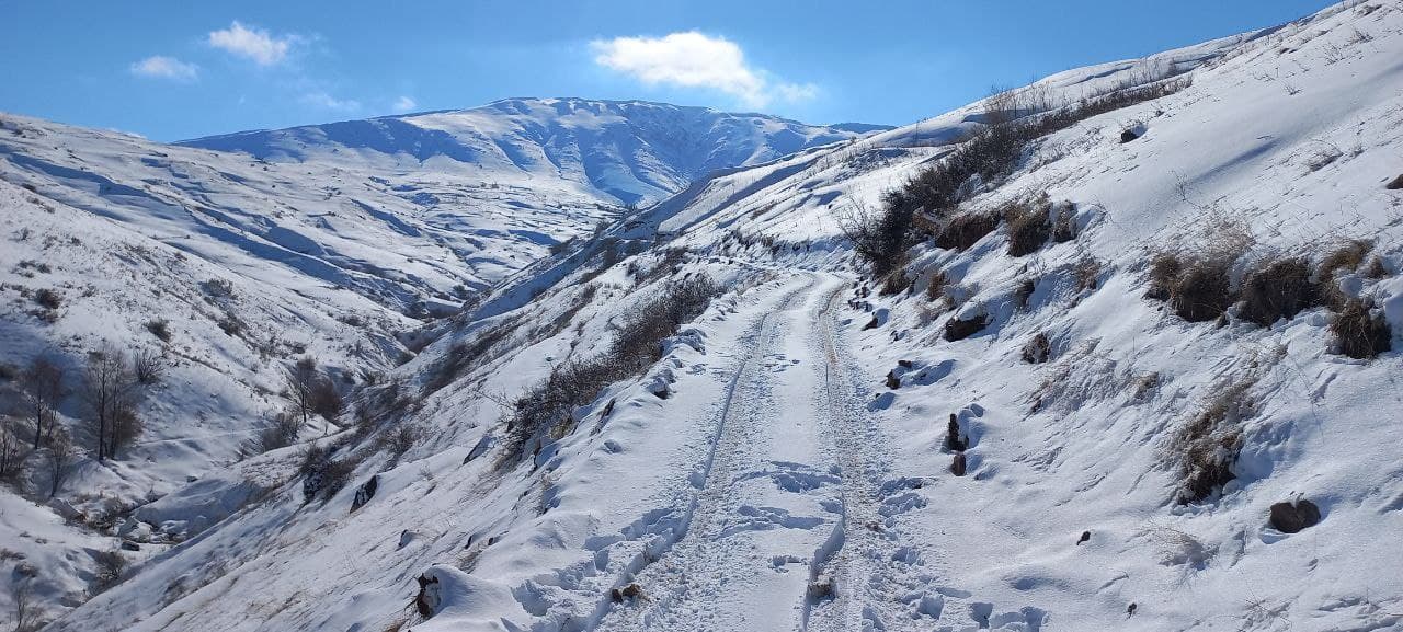 Жителей горного кишлака в Кашкадарье засыпало снегом по пояс — фото