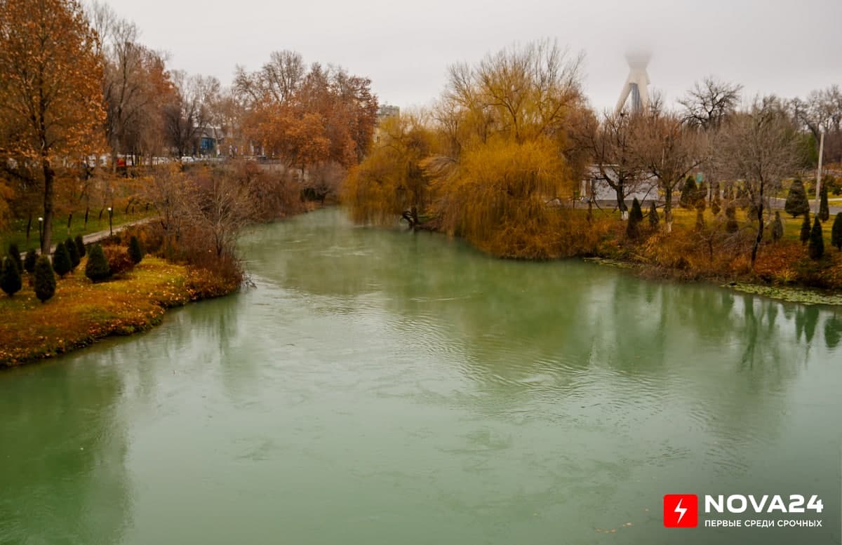 Сухо и прохладно: коротко о погоде на последний день января