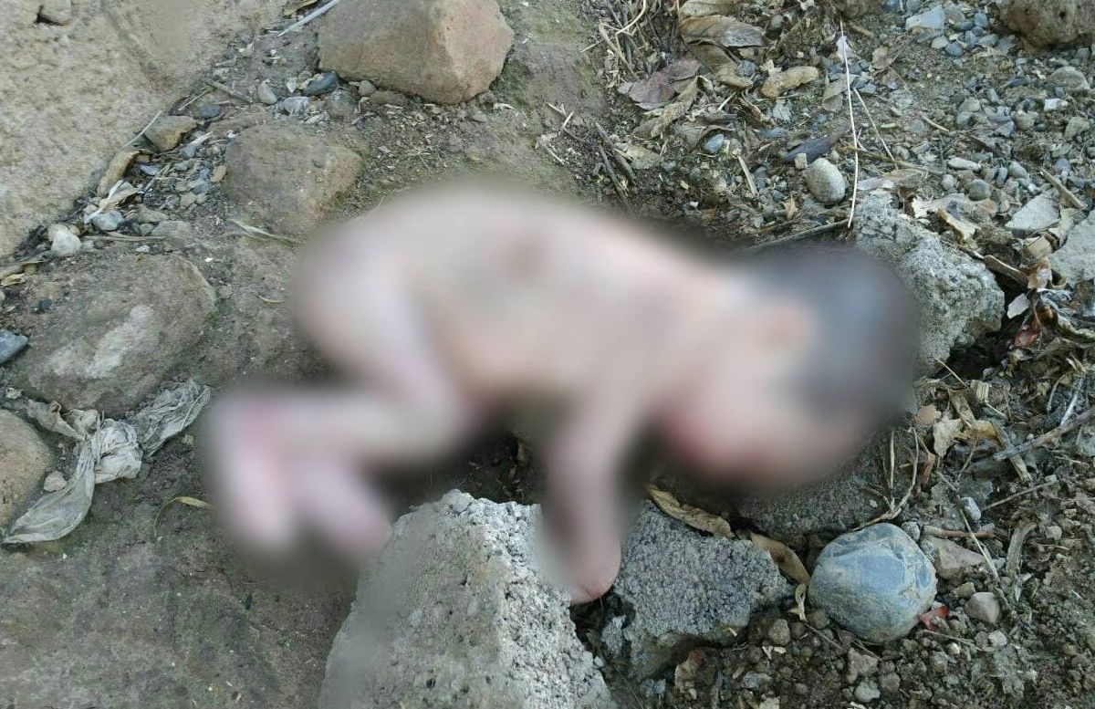 В Андижане за недостроенным зданием нашли мертвого младенца