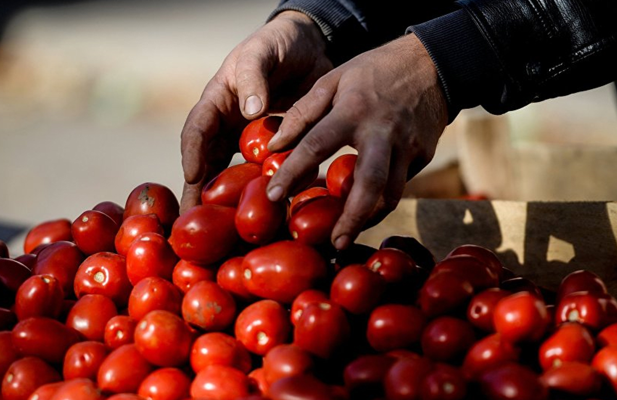 Россия разрешила ввоз томатов и перца с 10 предприятий Узбекистана