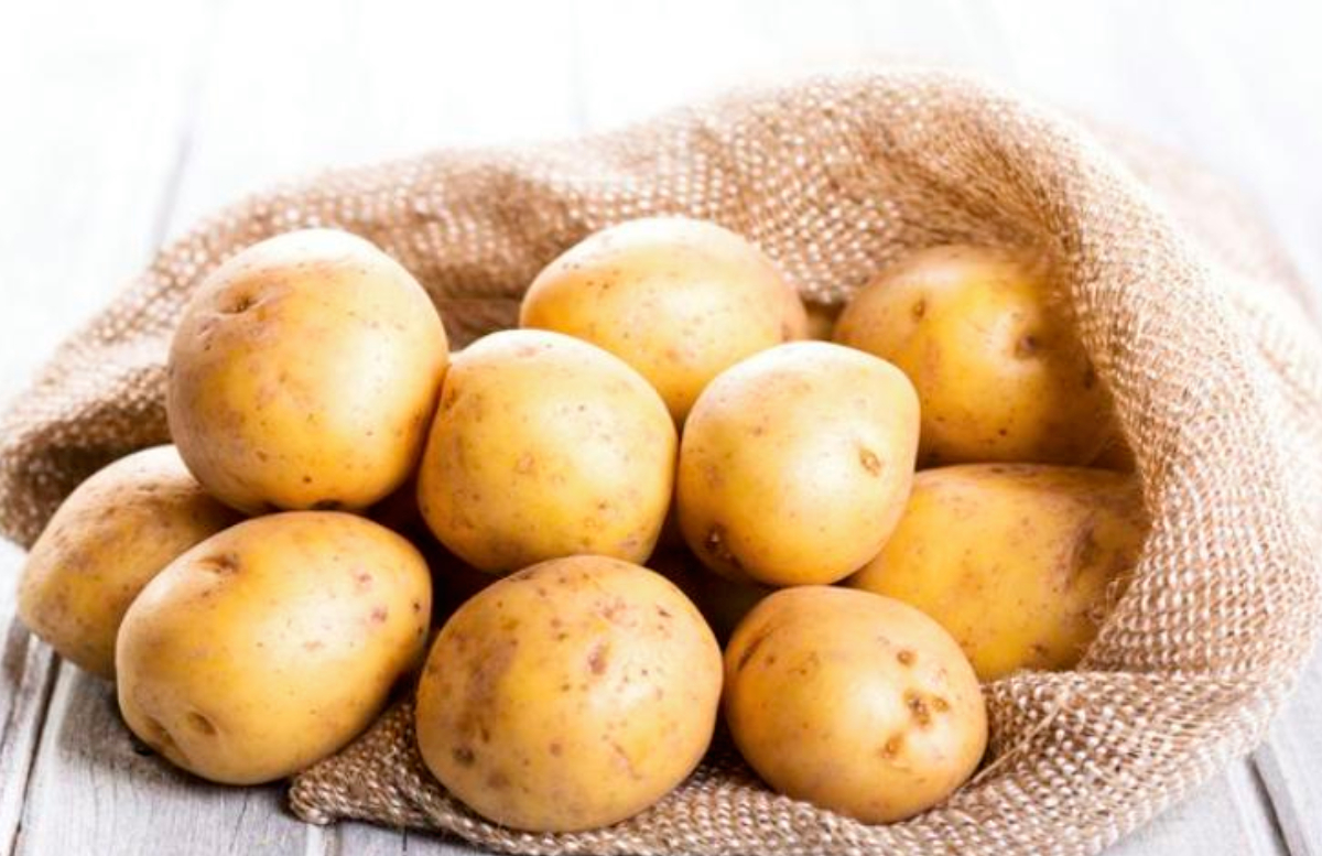 Выяснилось, в скольких районах страны должны посадить элитные сорта картофеля