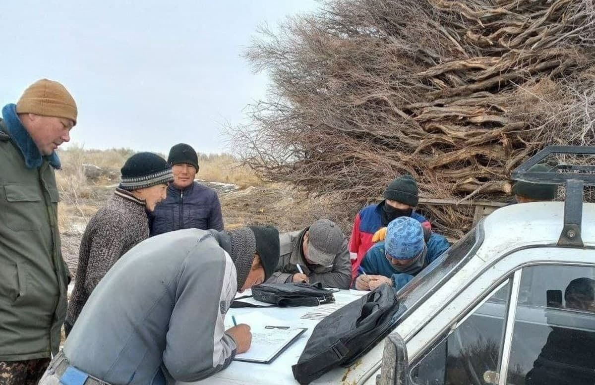 В Каракалпакстане выявили незаконную вырубку дикорастущих растений