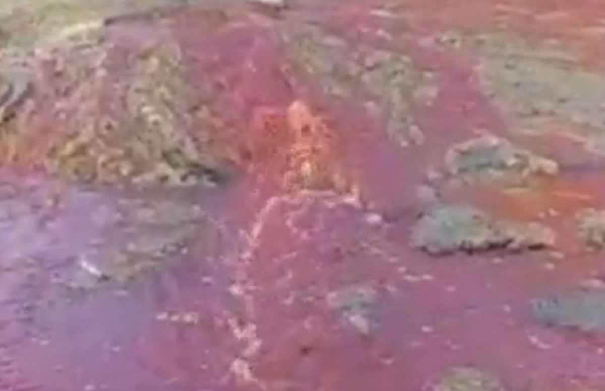 В Намангане жители запечатлели «кровь», вытекающую из канализации