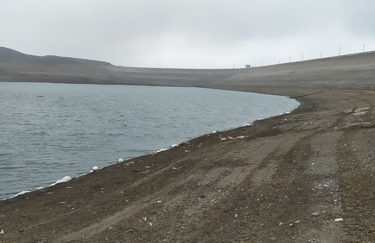 От нехватки воды в водохранилище Наманганской области погибли рыбы