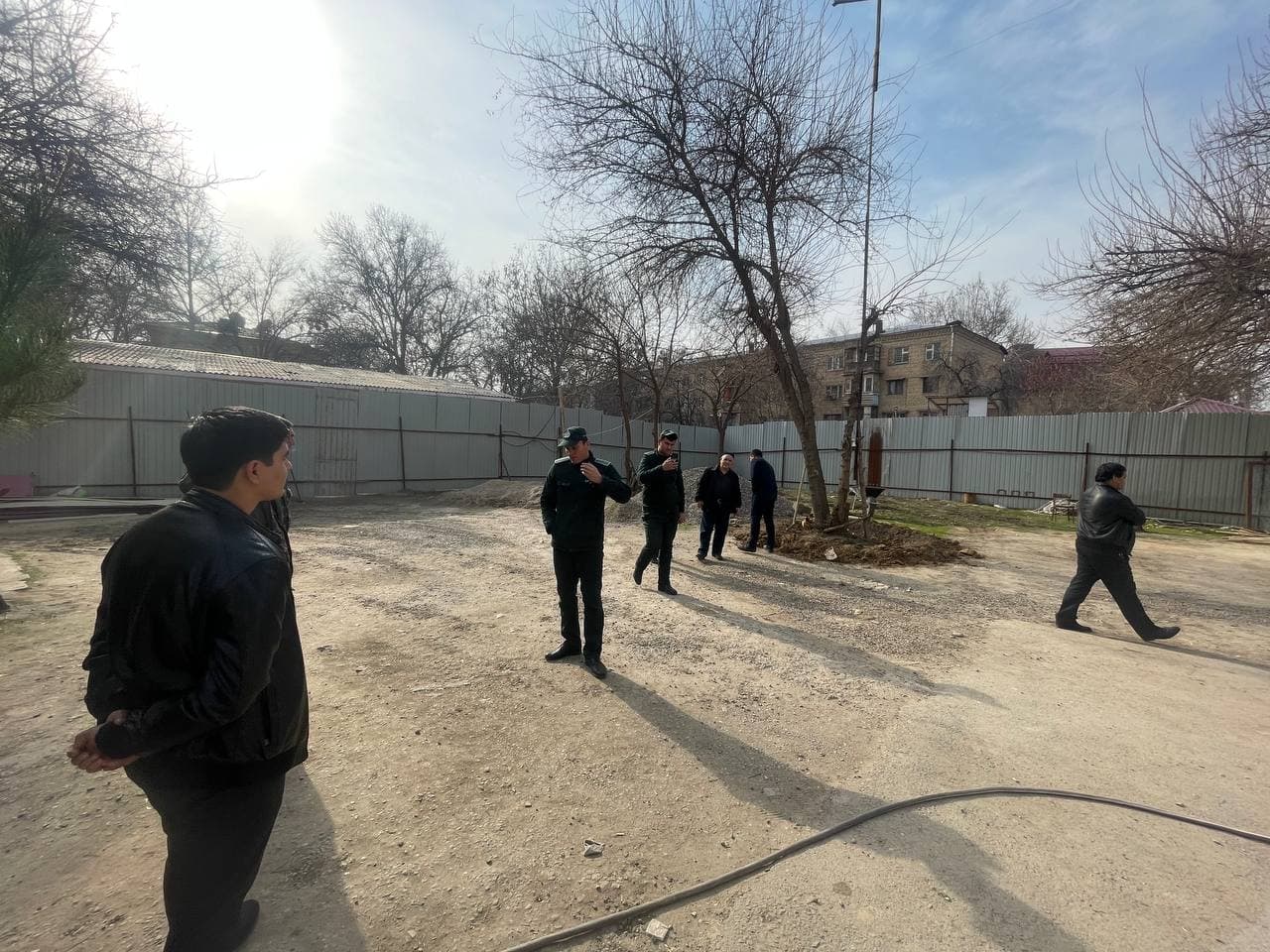 В одном из районов Ташкента предприниматель якобы начал вырубку деревьев для строительства