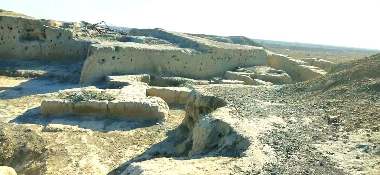 В Бухарской области фермер распахал территорию археологического памятника
