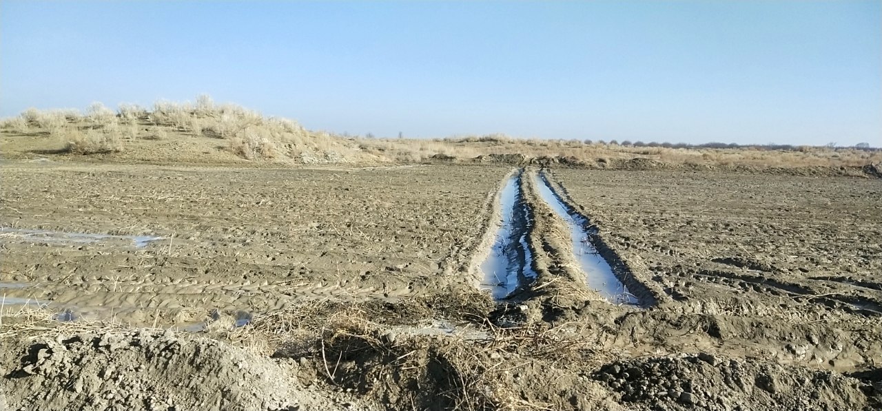 В Бухарской области фермер распахал территорию археологического памятника