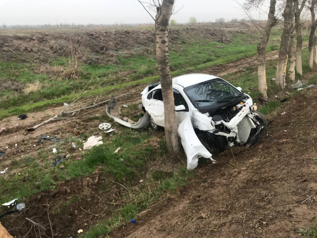 В Кашкадарьинской области в страшном ДТП скончались четыре человека