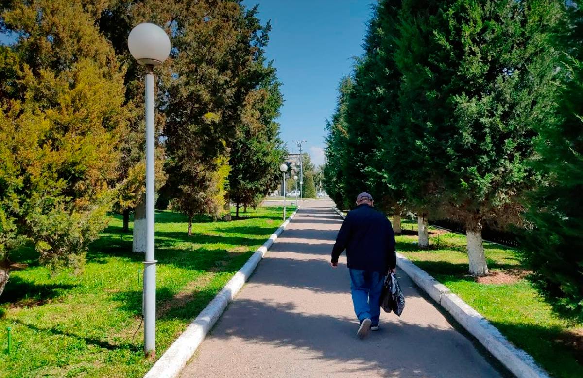 Стало известно, сколько узбекистанцев становятся пенсионерами в год
