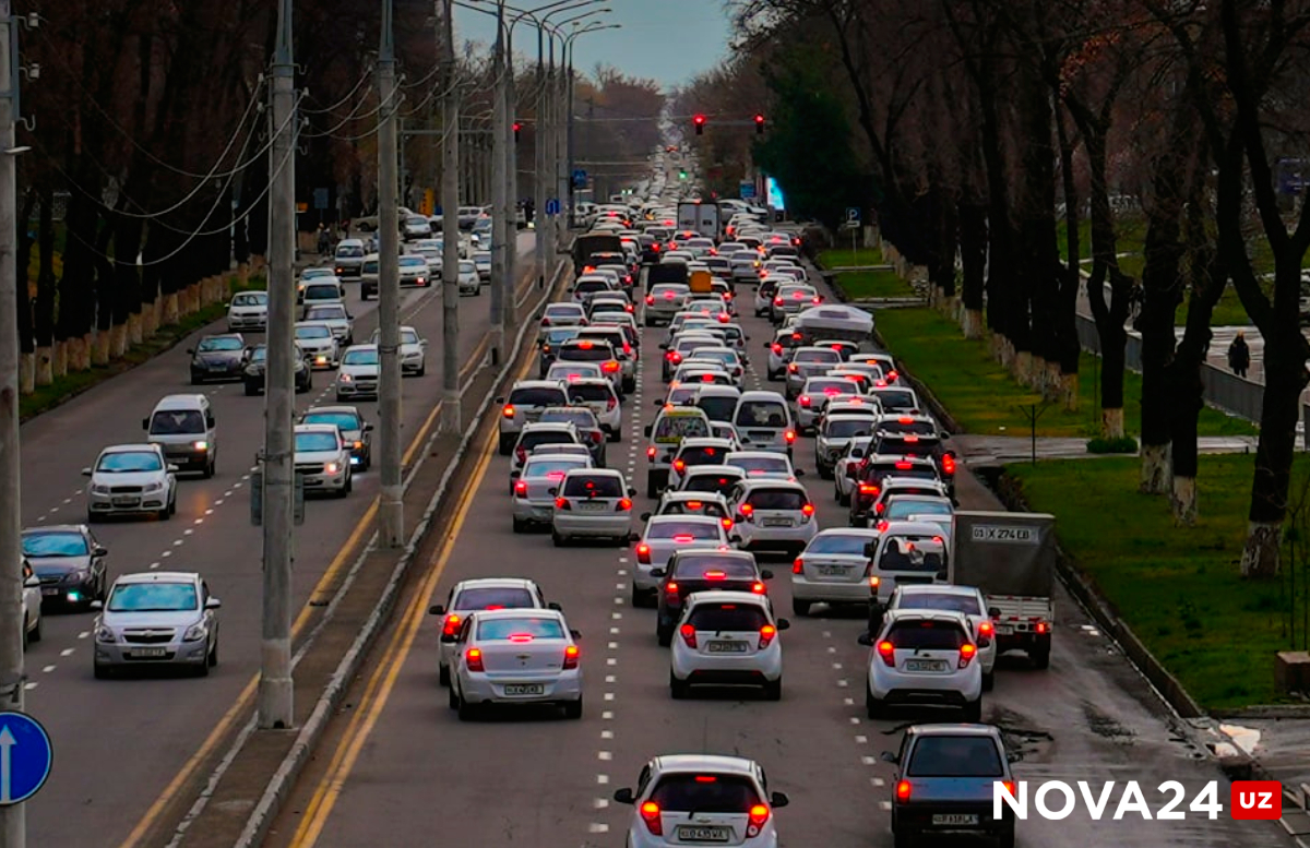 В Узбекистане неопытных водителей «пометят» спецзнаками