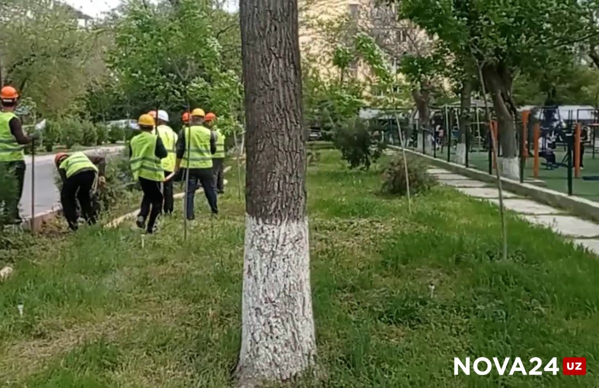 В Ташкенте жители снова забили тревогу из-за строительных работ на детской площадке — видео