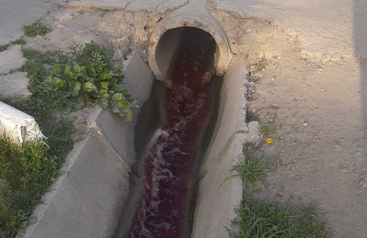 В одном из районов Намангана в арыке протекала вода с кровью