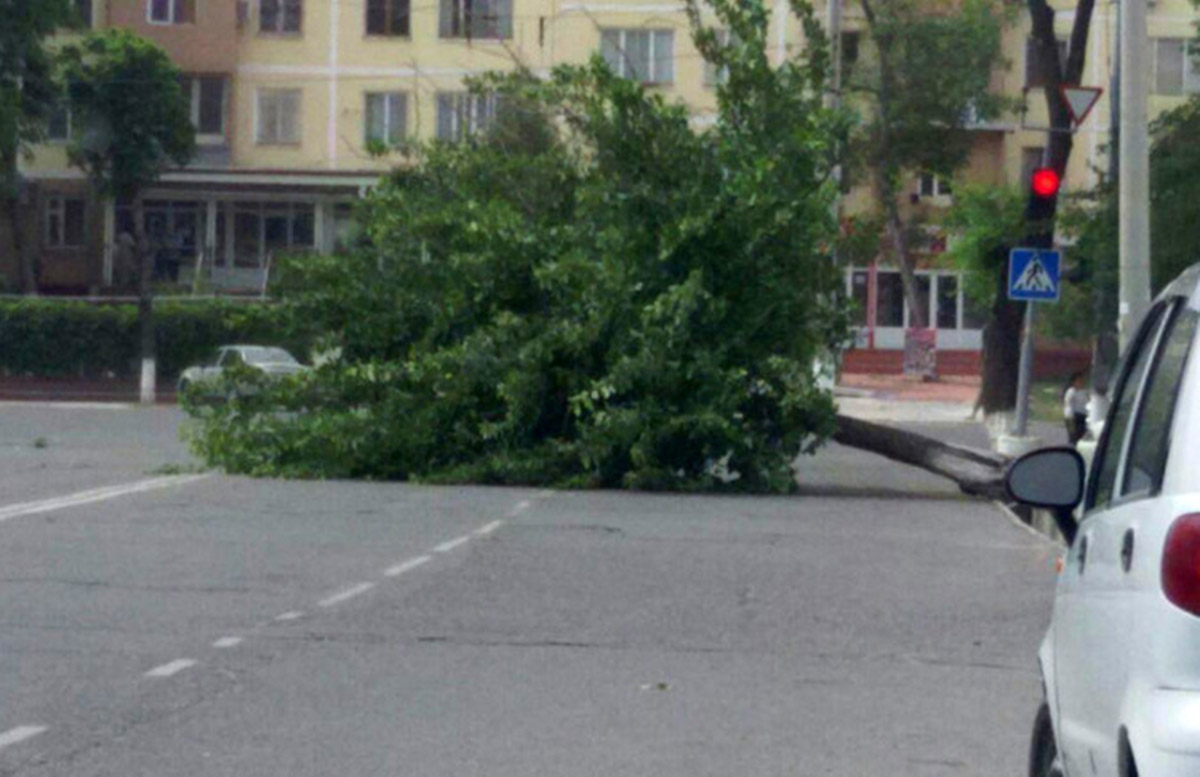 Узбекистанцев ждет усиление ветра