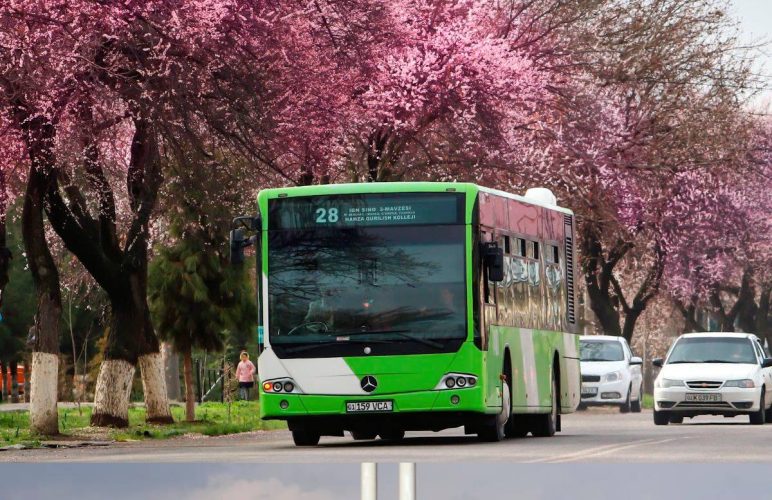 Выяснился самый популярный автобусный маршрут в Ташкенте