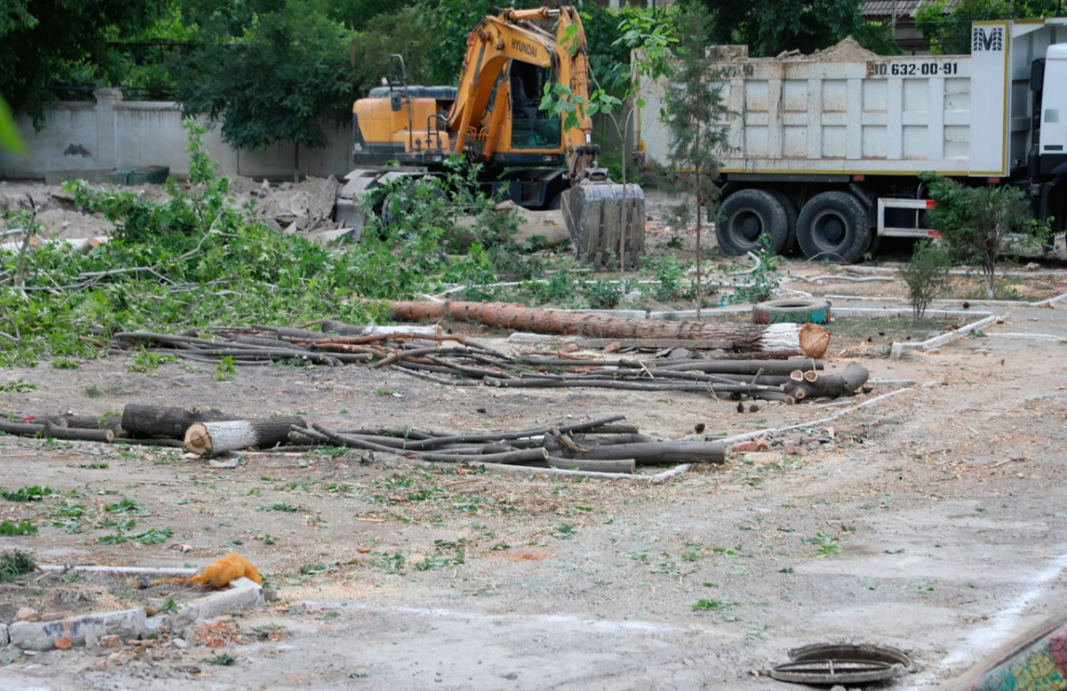 В ферганском детсаду незаконно срубили 15 деревьев