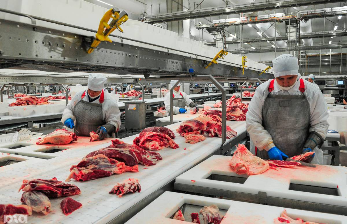 Названо воздействие производства мяса на окружающую среду