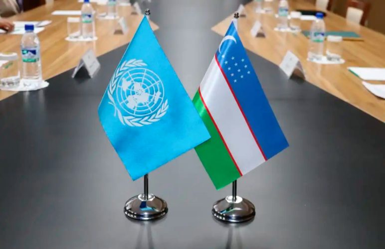 ООН и Узбекистан запустили программу по правам лиц с инвалидностью