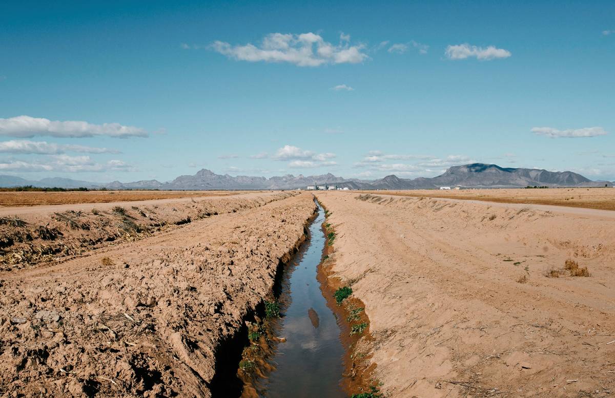 Узбекистанцев ждёт дефицит воды