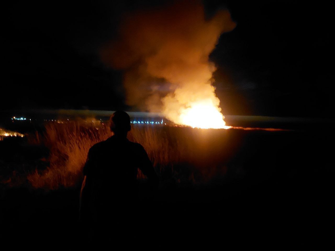 МЧС прокомментировало крупный пожар в Муйнаке